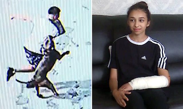 Girl, 11, attacked by XL bully in Birmingham says the dog should be put down and its owner jailed - Vimarsana News