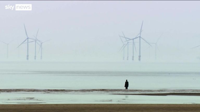 Wreckage of an auction engulfs government in offshore wind storm