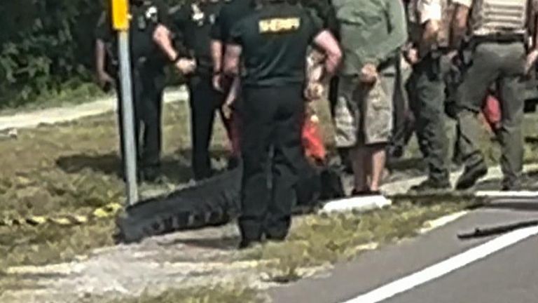 A 13-foot alligator was spotted with human remains in its mouth in a canal in Florida.
