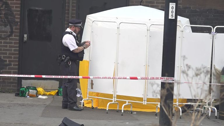 Croydon: Teenage boy in custody as tributes paid to 15-year-old girl who was stabbed to death | UK News