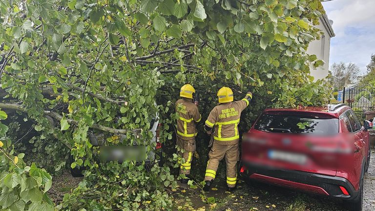 Firefighters from from Kilbarrack fire station dealing with a downed tree in Dublin