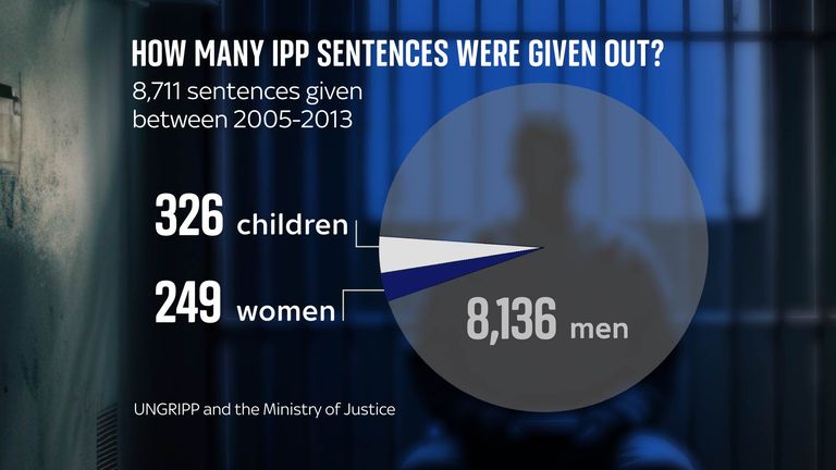 IPP pie chart