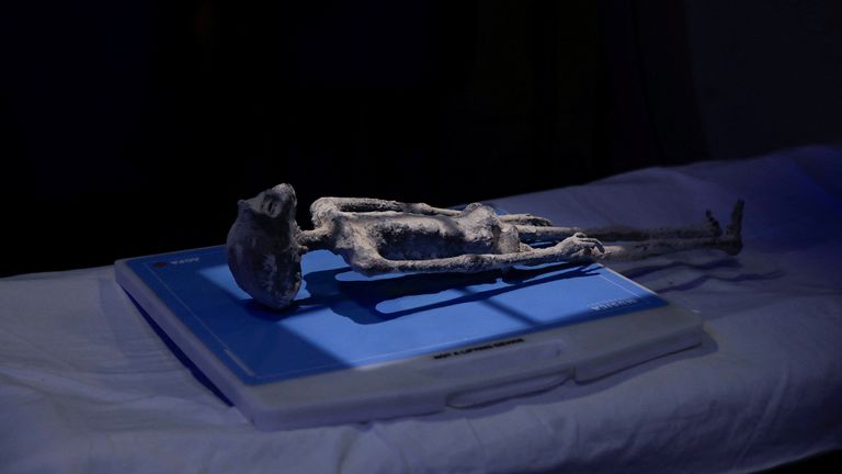 Mummified 'alien corpses' are from single skeletons and were not assembled, Mexican doctors claim