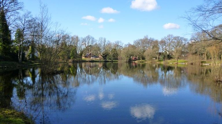 Kingsley pond in Kingsley. Pic: Robin Webster/Wikicommons