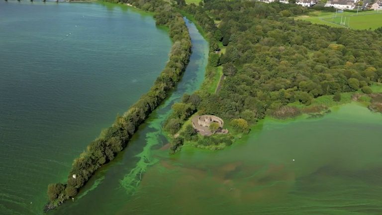 The biggest inland water body in the UK has turned green with toxic algae