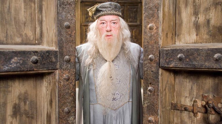 Warner Brothers Pictures Presents "Harry Potter and the Order of the Phoenix" Michael Gambon © 2007 Warner Bros. Entertainment Inc. - Harry Potter Publishing Rights © J. K. R. - Image ID: PM488R (RM)
