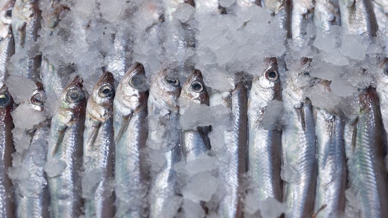 The outbreak is linked to sardines. Pic: Europa Press via AP