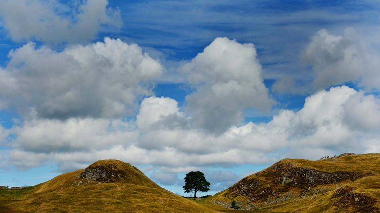 File photo dated 31/07/13 of Sycamore Gap