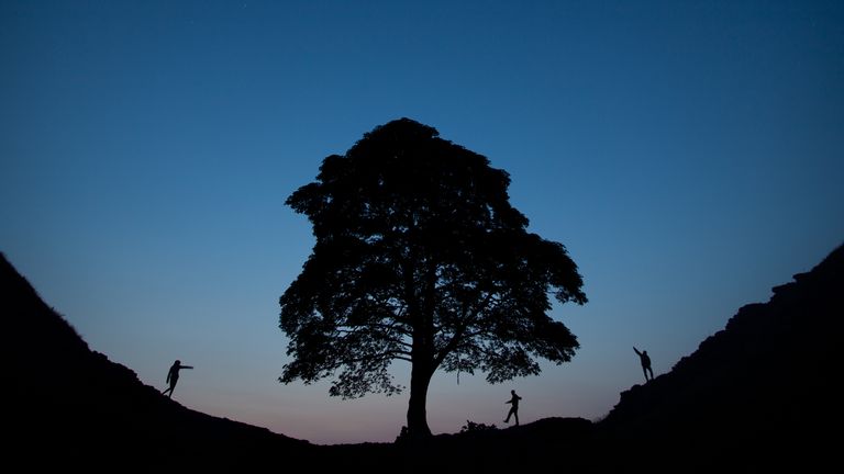 Sycamore Gap on Hadrian&#39;s Wall in Northumberland