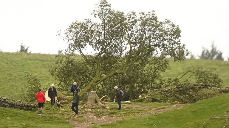 People at the scene of the felled Sycamore Gap in Northumberland. File pic: PA