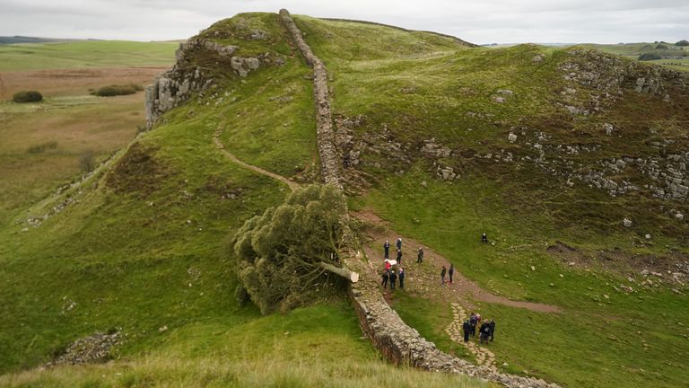 People look at the tree at Sycamore Gap, next to Hadrian&#39;s Wal