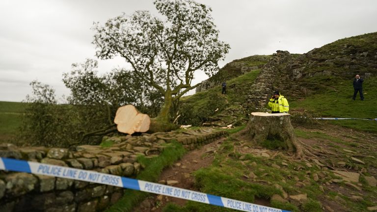 People look at the tree at Sycamore Gap, next to Hadrian&#39;s Wall, in Northumberland which has come down overnight after being "deliberately felled," the Northumberland National Park Authority has said. Picture date: Thursday September 28, 2023.