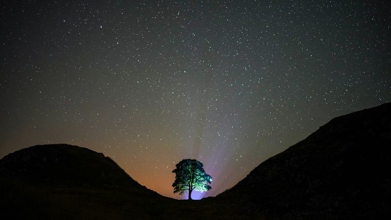 Pic: Owen Humphreys / PA