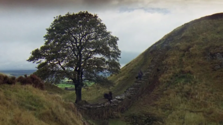 The tree at Sycamore Gap, in Northumberland, was made famous when it appeared in the 1991 Kevin Costner film Robin Hood: Prince Of Thieves. Pic: Warner Bros