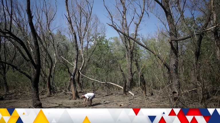 Ukraine war latest: Romania responds after 'Russian drone' debris found; Kremlin accuses US of 'criminal attack' - Vimarsana News