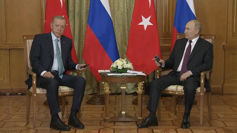 Putin and Erdogan meet in Sochi
