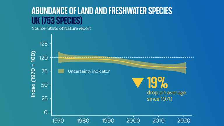 Abundance of land and freshwater species has fallen by 19% in 50 years