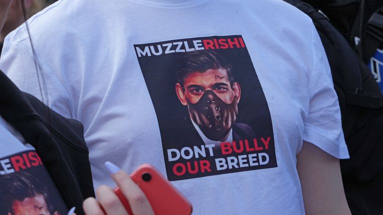  People take part in a protest in central London, against the Government&#39;s decision to add XL bully…