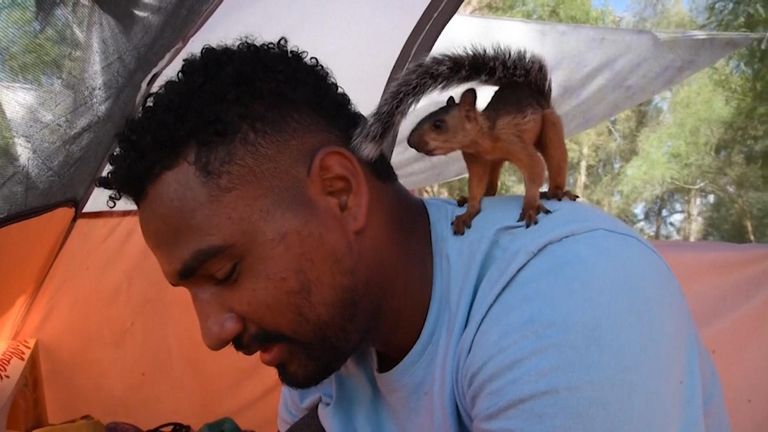 Man faces losing pet squirrel