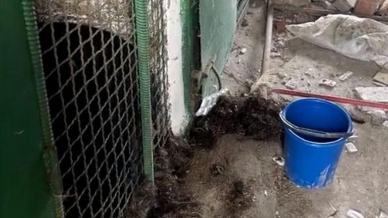 The conditions around Yampil&#39;s cage, where a bomb had exploded. Pic Five Sisters Zoo