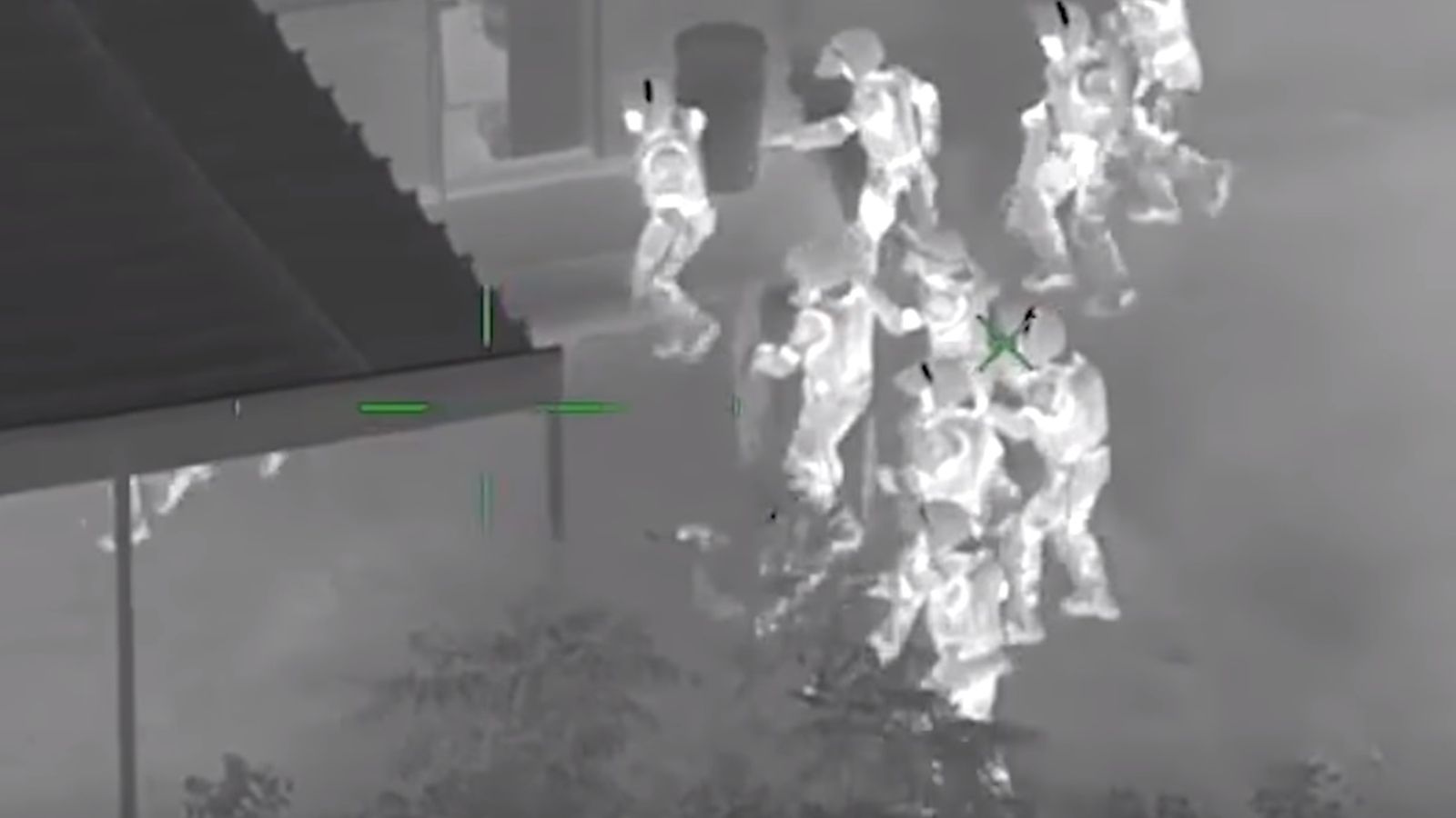 More than 400 puppies and cats rescued after animal trafficking ring