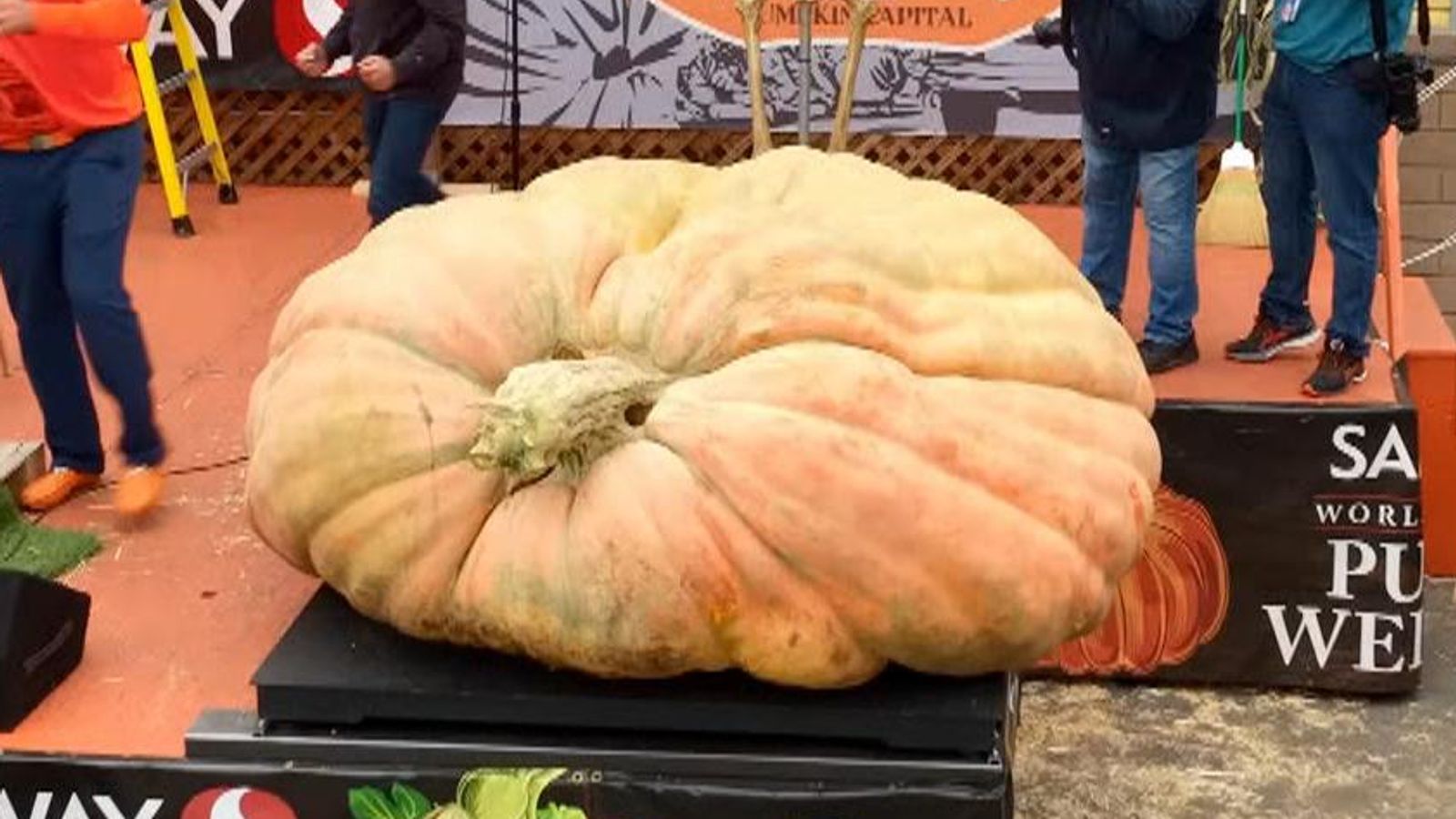 US At 1.2 tonnes, this could be the heaviest pumpkin ever seen US