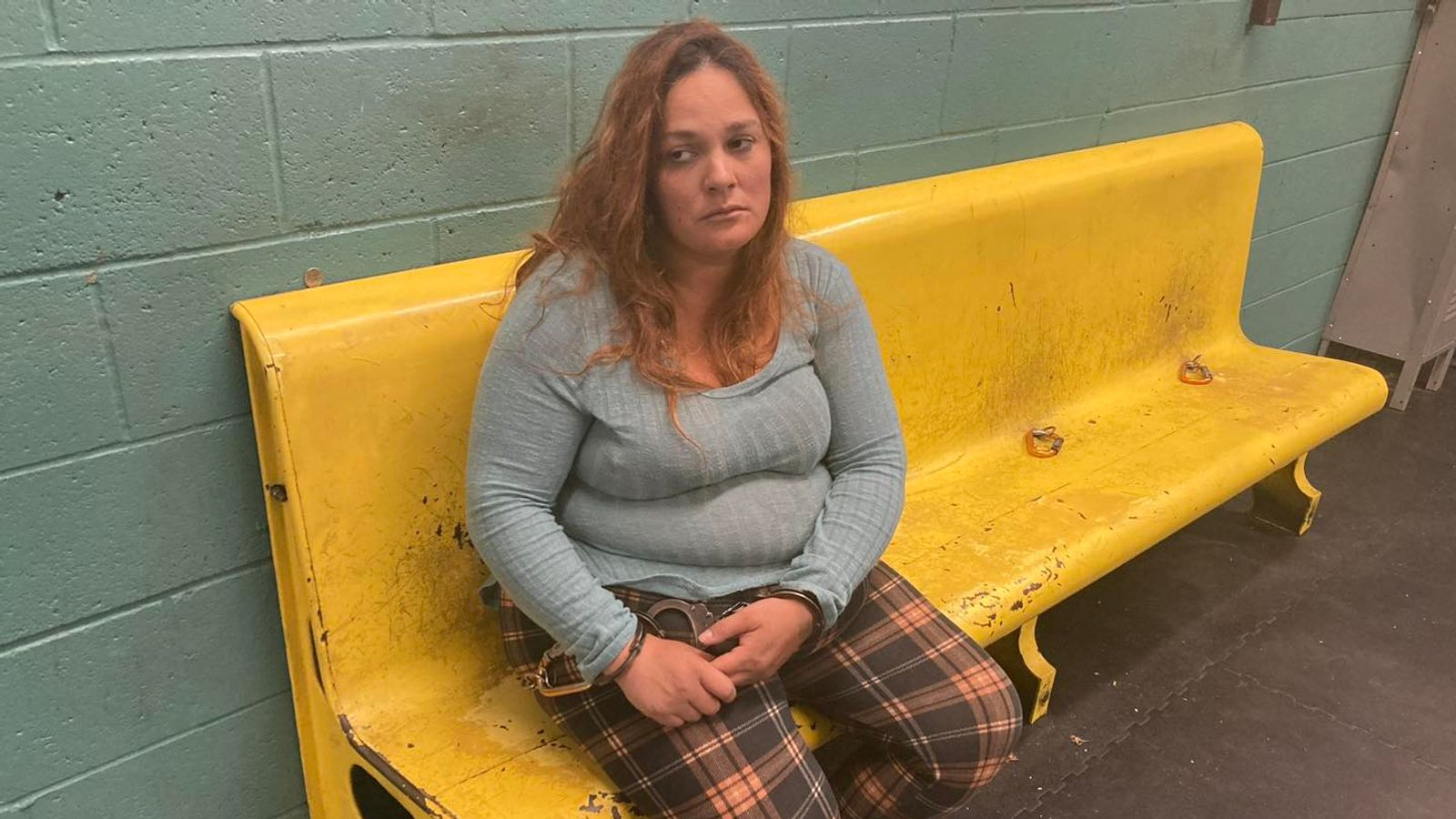 Mother kidnaps and smuggles her eight children across US