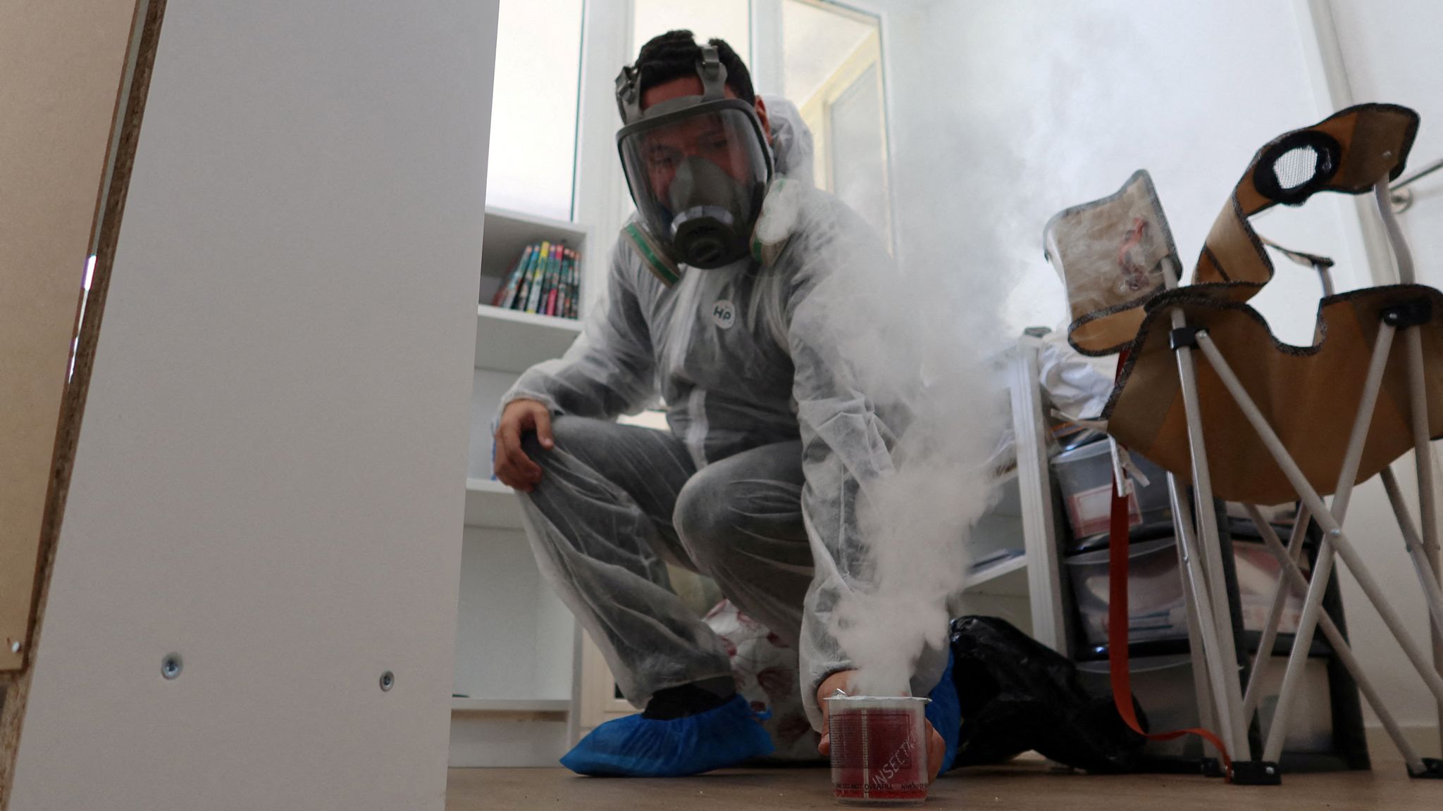 Bed bugs in rented homes Whose responsibility is it tenant or