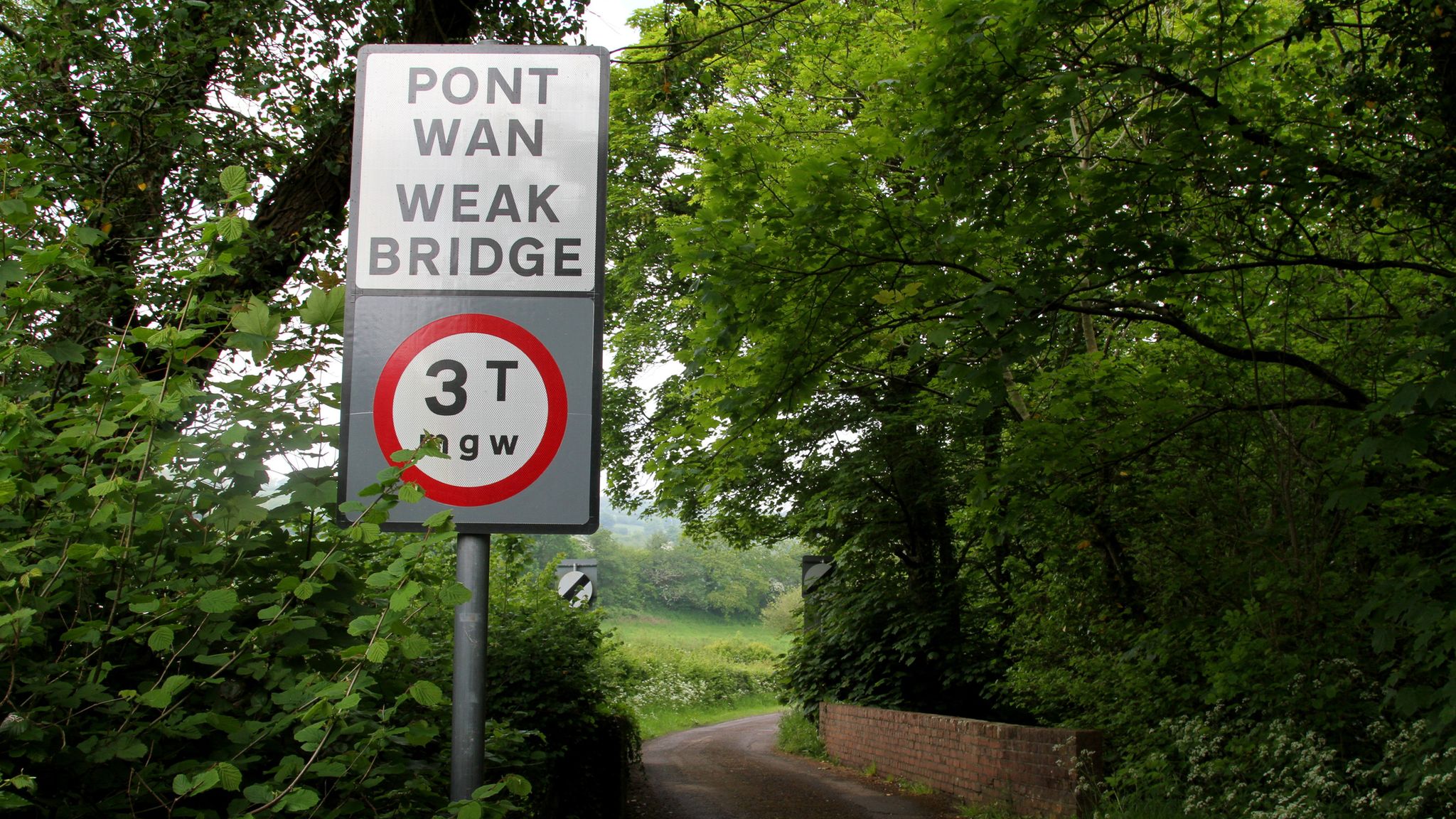 Wrexham University lecturer 'sacked' after saying bilingual road signs