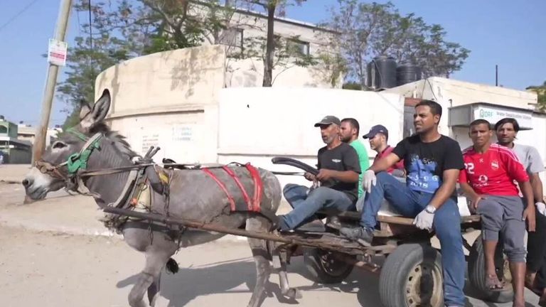  Collecting bodies on donkey carts in Gaza 