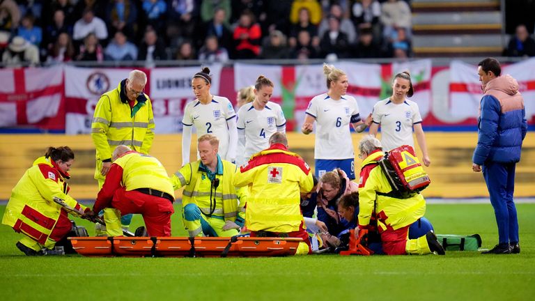 Lioness given oxygen on pitch