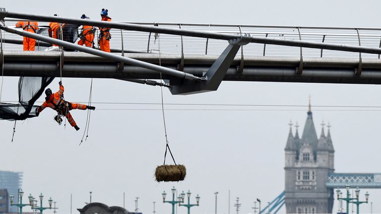 A bale of hay hangs from Millennium Bridge in accordance with an ancient by-law requiring workers to warn river traffic of reduced head room below as it undergoes repairs, in London, Britain, October 18, 2023. REUTERS/Clodagh Kilcoyne 