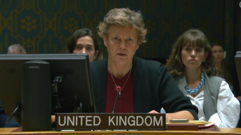 UN Security Council holds emergency meeting to discuss growing humanitarian crisis | World News | Sky News
