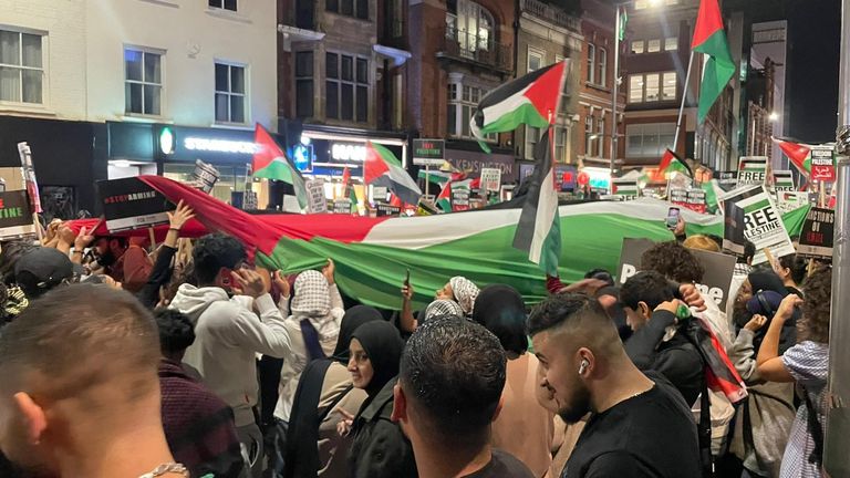 Pro-Palestinian protest in London