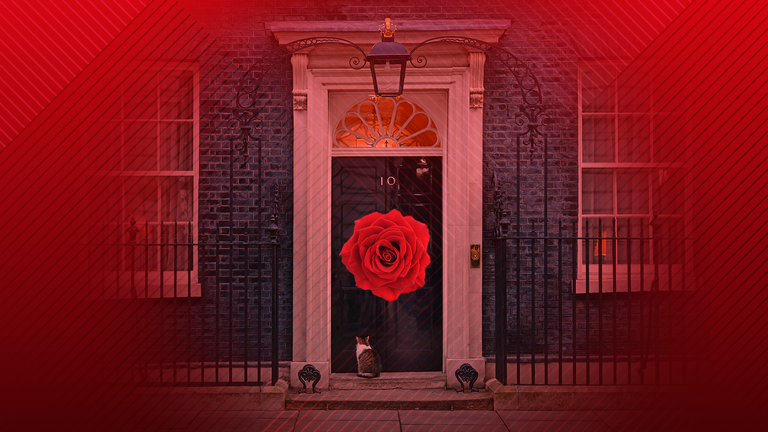 Adam Boulton column graphic teaser. Labour red rose, number 10