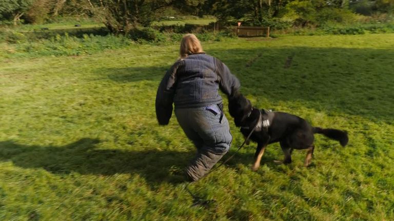 Lisa Dowd experiencing a dog attack