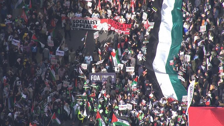 Pro-Palestinian protest in London

