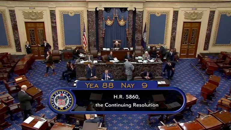 The final result. Pic: Senate Television via AP