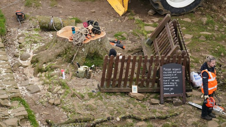 Work begins in the removal of the felled Sycamore Gap tree, on Hadrian&#39;s Wall in Northumberland. Picture date: Wednesday October 11, 2023.