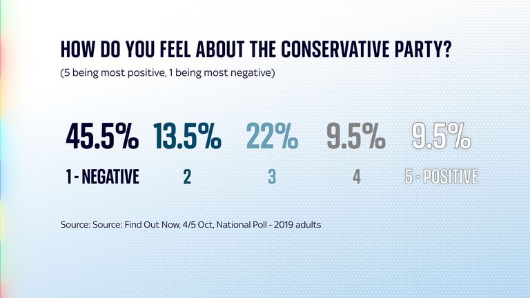 How do you feel about the Conservative Party?