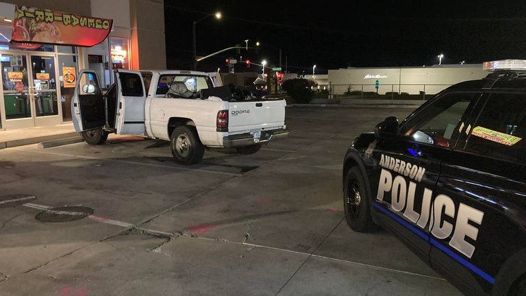 Trisha Fullerton kidnap Arkansas. Pic: Anderson Police Department/ Facebook