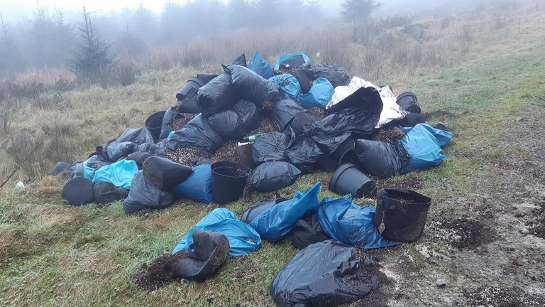 Pic: Neath Port Talbot Council