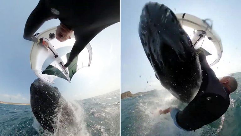 Australian surfer captures incredible moment a whale slams into him on camera - Vimarsana News