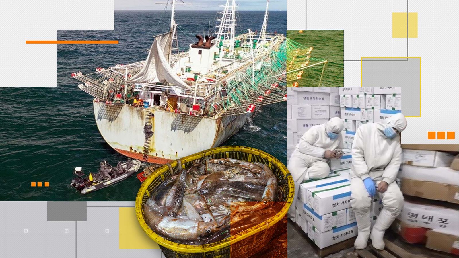 Seafood sold in UK supermarkets may have a dark side - here's why
