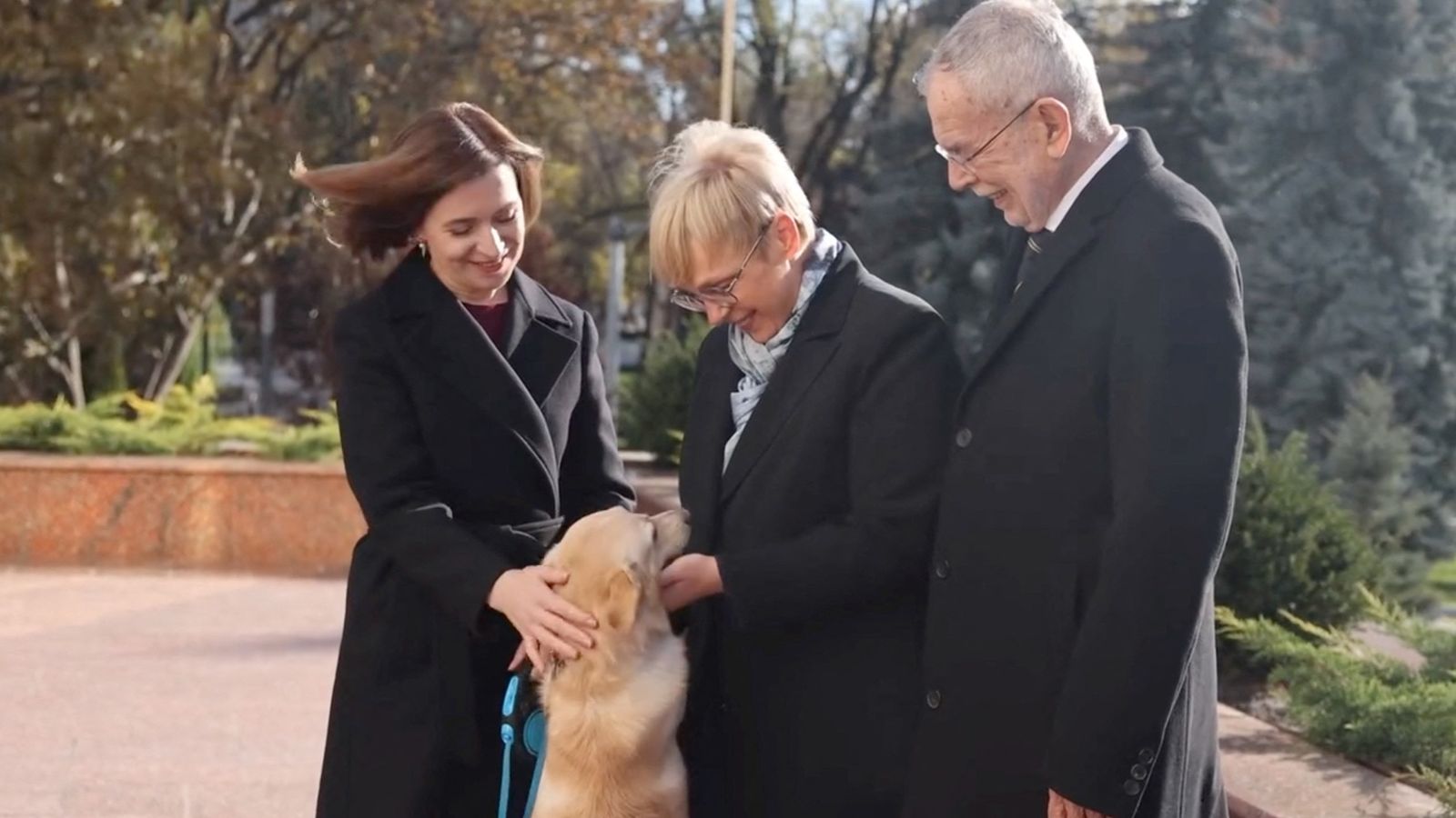 Moldova's 'first dog' bites Austrian president on the hand during official visit