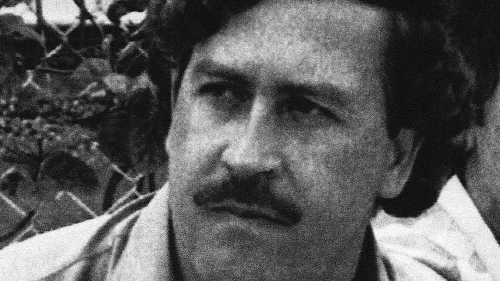 Colombia to cull 'invasive' hippo population after Pablo Escobar's pets