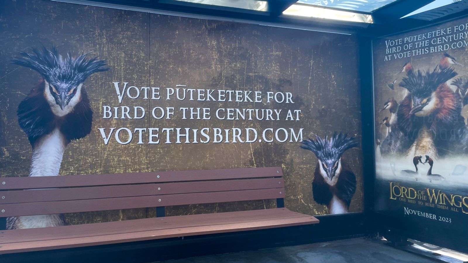 Outsider wins bird of the century for its 'propensity for puking