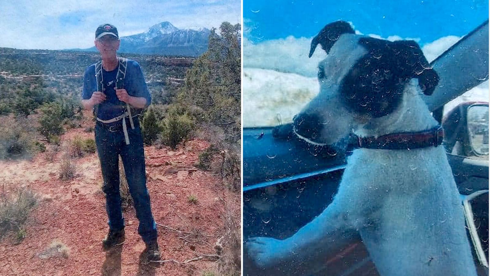 'Loyal' dog found next to Colorado hiker's body survived for 10 weeks by 'eating mice and avoiding bears'