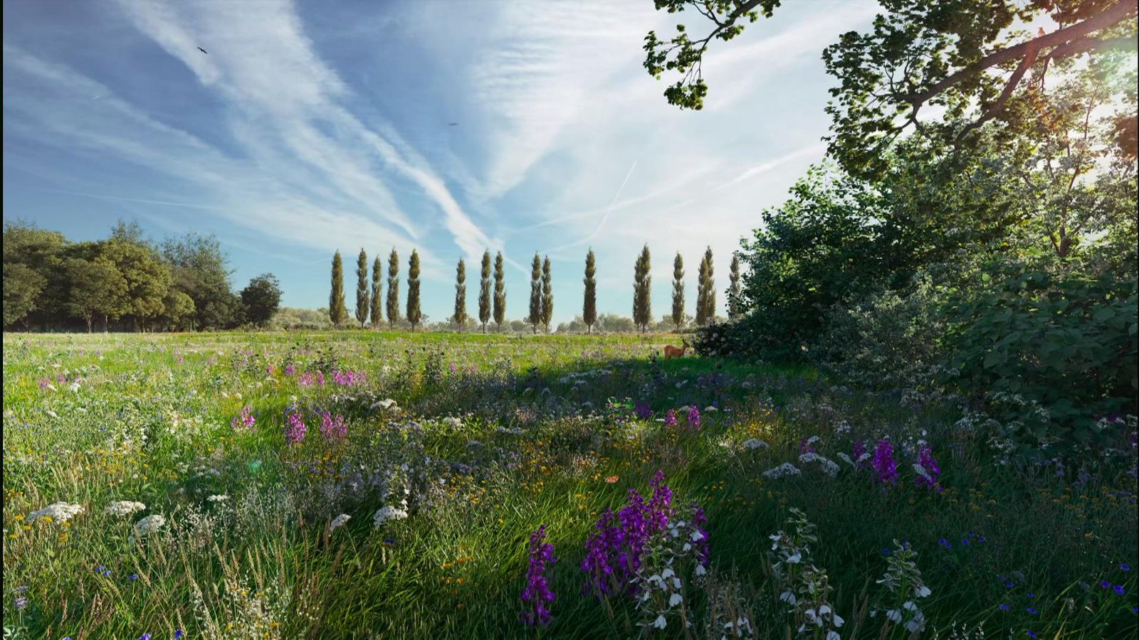 What new biodiversity law means for housing projects in England