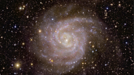 Euclid’s view of spiral galaxy IC 342
